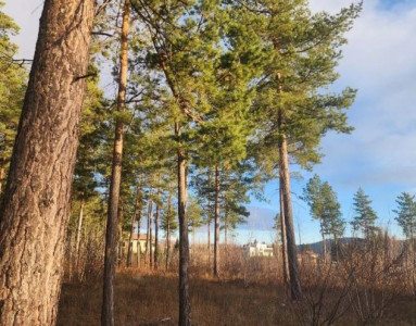Территория в Тольятти с разработанной концепцией загородного комплекса будет продана с аукциона