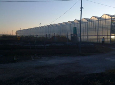 Назначен новый аукцион по продаже тепличного комплекса в Краснодарском крае