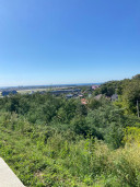 Земельный участок, 8000 +/- 31 кв. м. Почтовый адрес ориентира: Краснодарский край, г. Сочи, р-н Адлерский, выше ул. Кишеневская